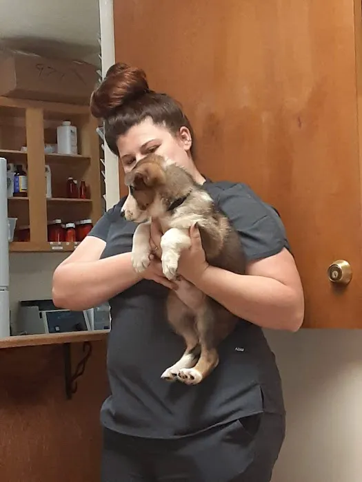 Mayo Town & Country Animal Hsp: Jackson Lindsey D DVM 6