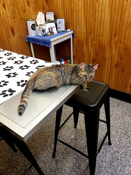 Harris Animal Hospital 6