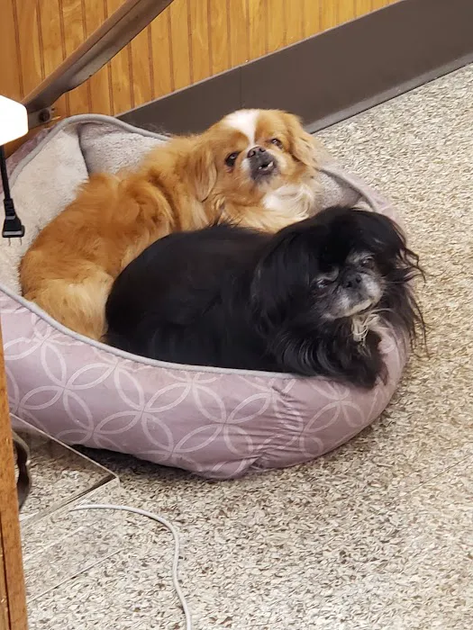 Harris Animal Hospital 3