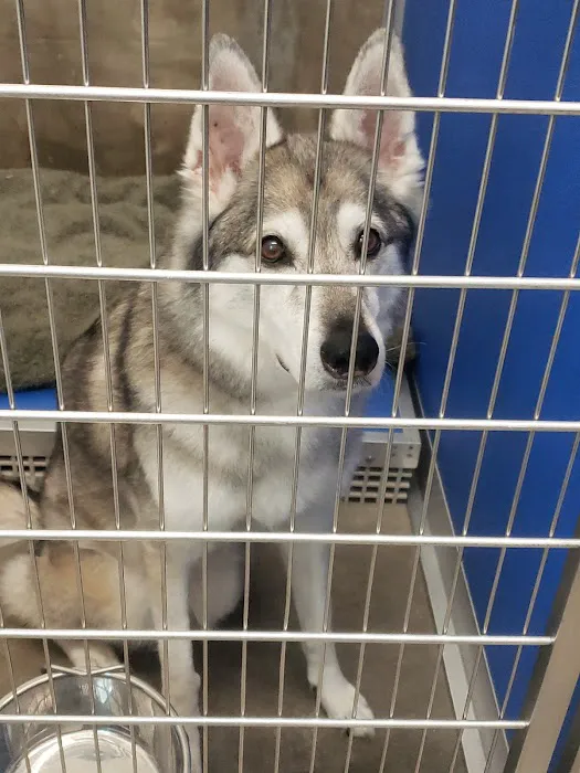 Harris Animal Hospital 1