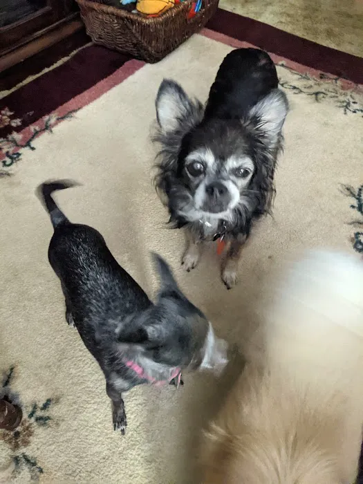 Harris Animal Hospital 8
