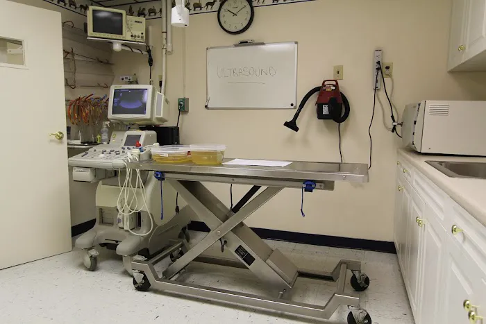 VCA Valley Animal Hospital 5