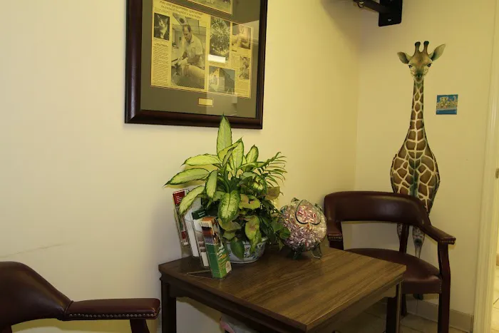 VCA Valley Animal Hospital 8