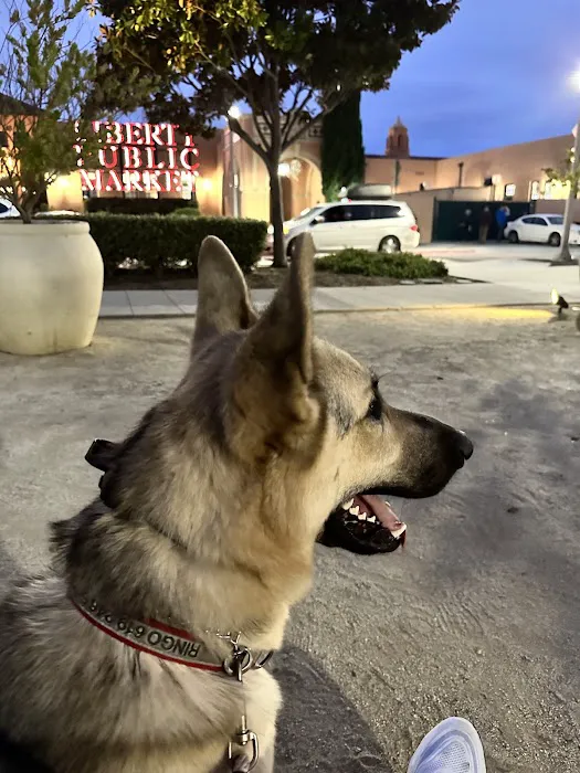 Snug Animal Hospital 5