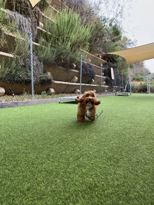 Snug Animal Hospital 6