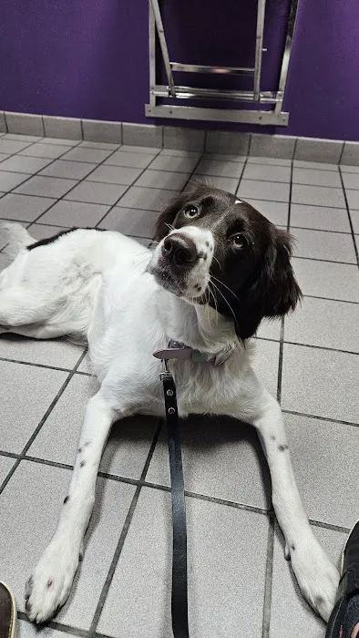 Urgent Care Pet Clinic 12
