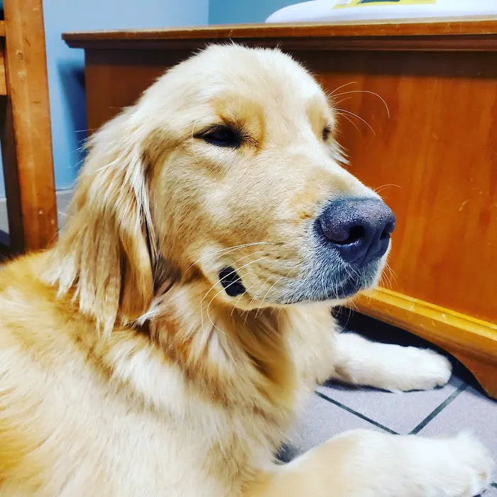 Urgent Care Pet Clinic 12