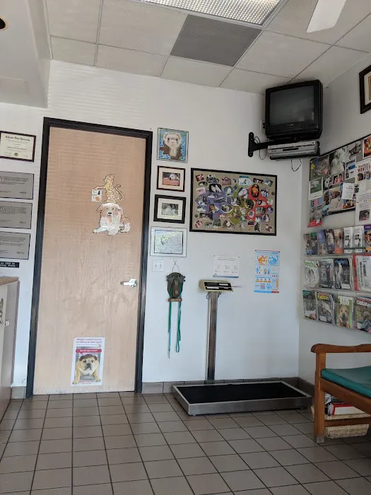 Towne Centre Animal Hospital 2