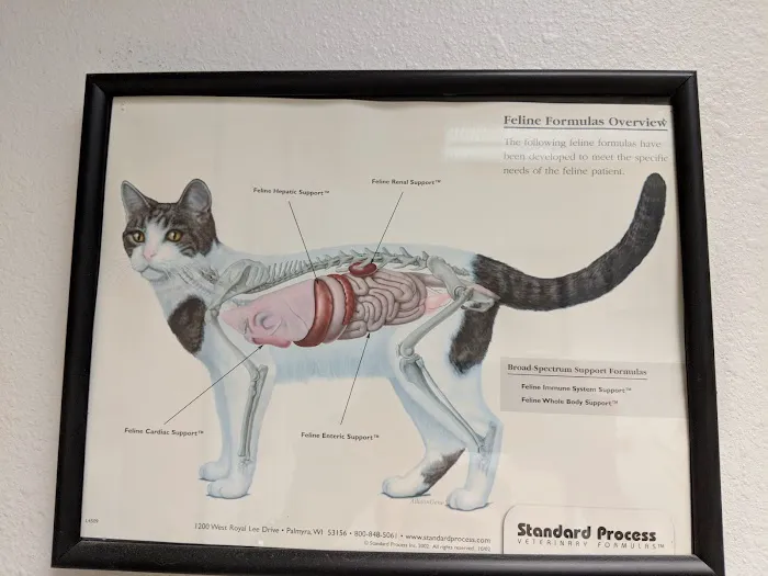 Towne Centre Animal Hospital 3