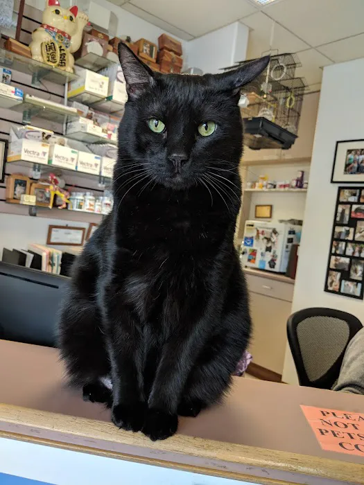 Towne Centre Animal Hospital 7