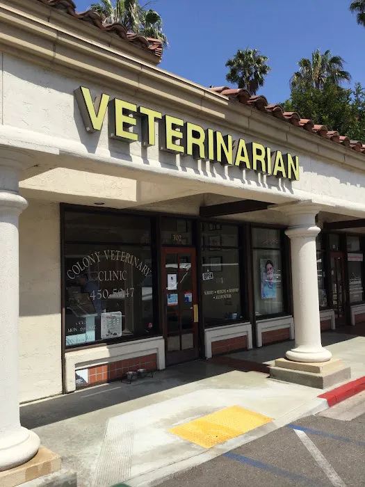 Colony Veterinary Hospital 3