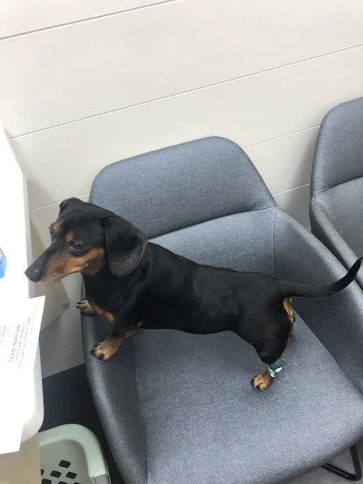 VCA Animal Hospitals Urgent Care - Mira Mesa 6