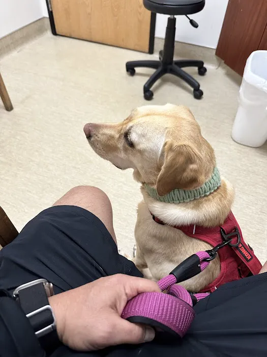 Torrey Pines Animal Hospital 5