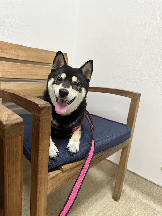 Torrey Pines Animal Hospital 8