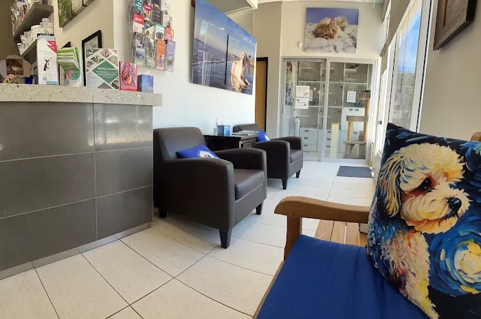 Torrey Pines Animal Hospital 4