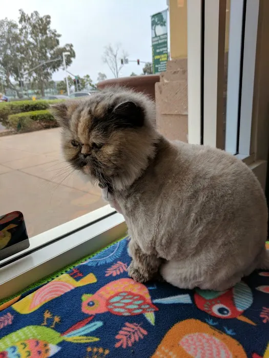 Torrey Pines Animal Hospital 6