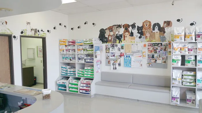 American Animal Hospital 12
