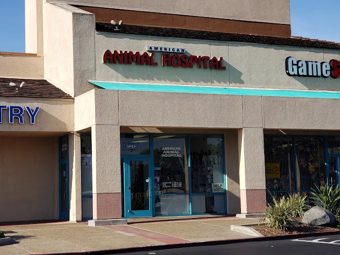 American Animal Hospital 12