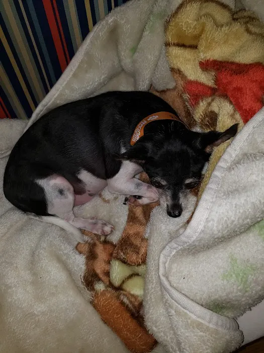Banfield Pet Hospital 7