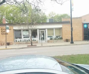 Chicago Cat Clinic
