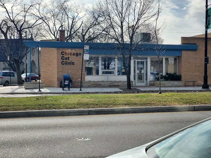Chicago Cat Clinic 12