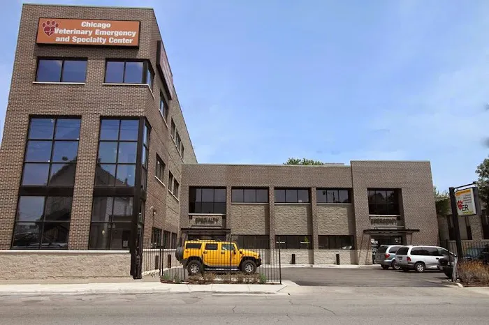Eye Care for Animals - Chicago 8