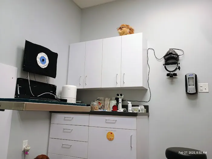 Eye Care for Animals - Chicago 5