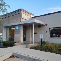 Eye Care for Animals - Chicago ico