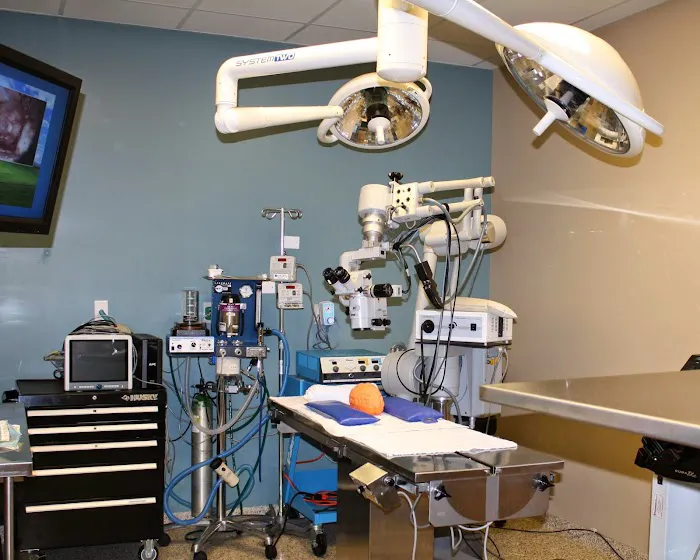 Eye Care for Animals - Chicago 9