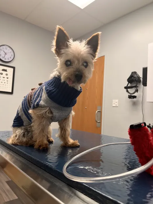 Eye Care for Animals - Chicago 2