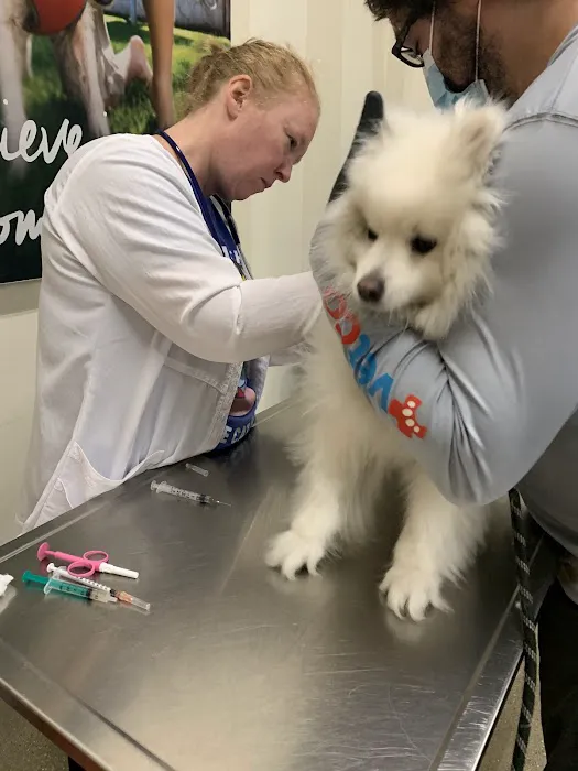 Vetco Vaccination Clinic 12