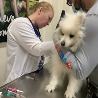 Vetco Vaccination Clinic ico