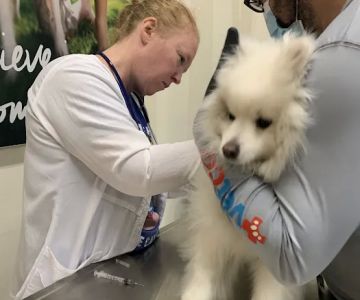 Vetco Vaccination Clinic