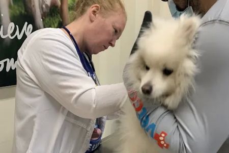 Vetco Vaccination Clinic