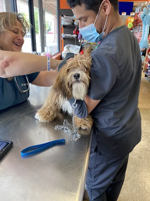Vetco Vaccination Clinic 12