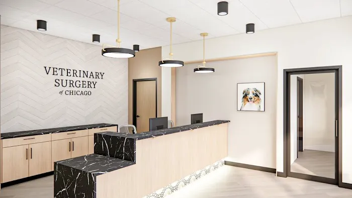 Veterinary Surgery of Chicago 2