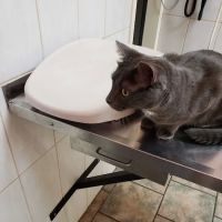 Vetco Vaccination Clinic ico