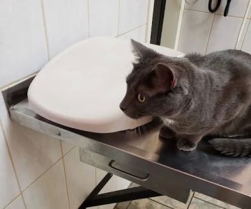Vetco Vaccination Clinic