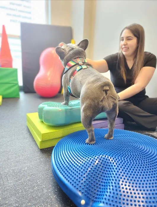 Healing Tails Chicago Pet Rehabilitation and Acupuncture 3