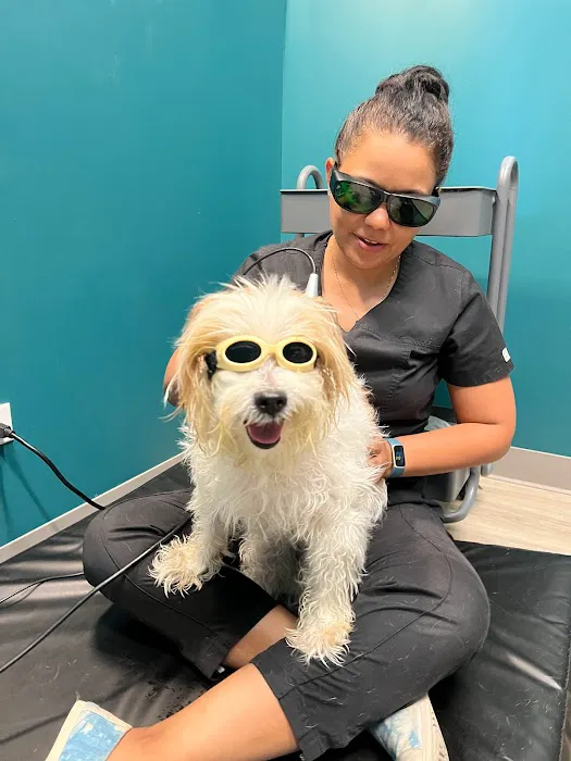 Healing Tails Chicago Pet Rehabilitation and Acupuncture 2