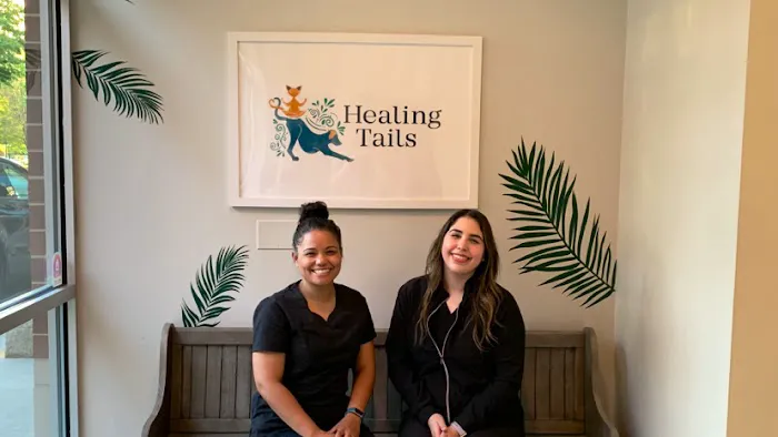 Healing Tails Chicago Pet Rehabilitation and Acupuncture 5