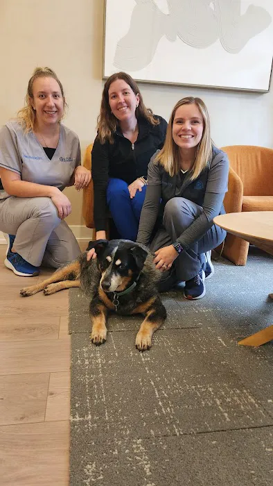 4 Paws Imaging Centers, LLC (Veterinary Ultrasound) 12