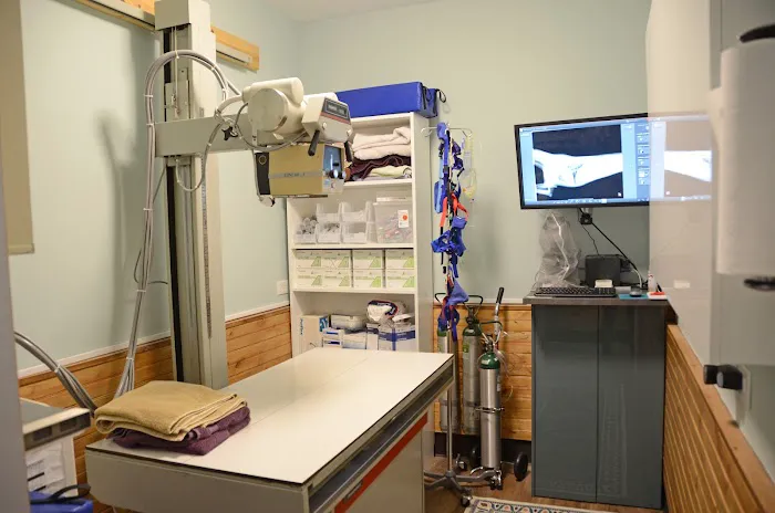 Royal Treatment Veterinary Center, Wilmette 12