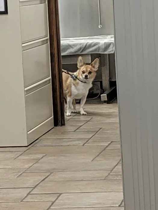 Terry Animal Hospital 12