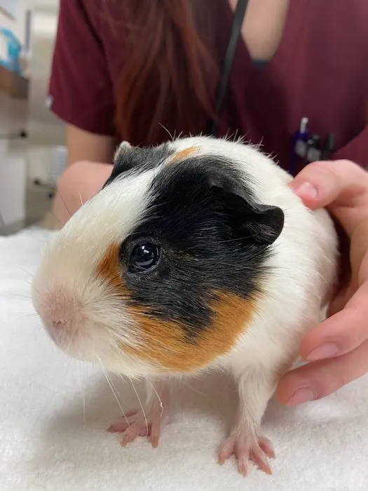 Terry Animal Hospital 12