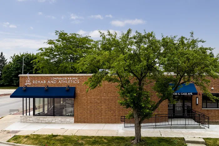 Companion Animal Rehab and Athletics 2