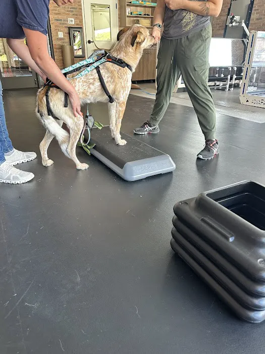 Companion Animal Rehab and Athletics 7