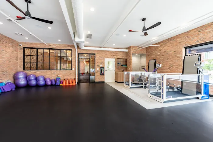 Companion Animal Rehab and Athletics 4