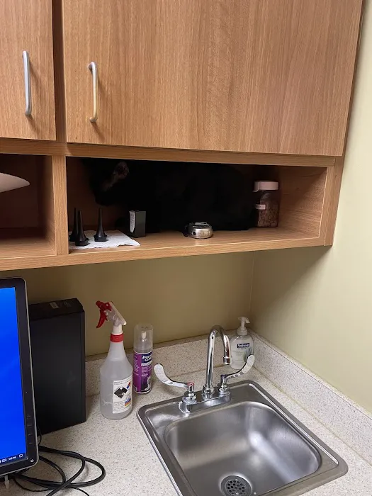 College Station Cat Clinic 8