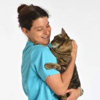 Holistic Veterinary Services ico